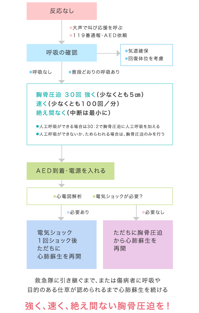 救命処置の流れ（心肺蘇生法）